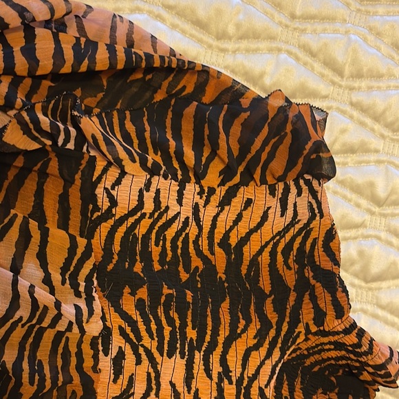 Beautiful sheer top - Picture 3 of 4